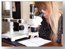 sheila looking through microscope